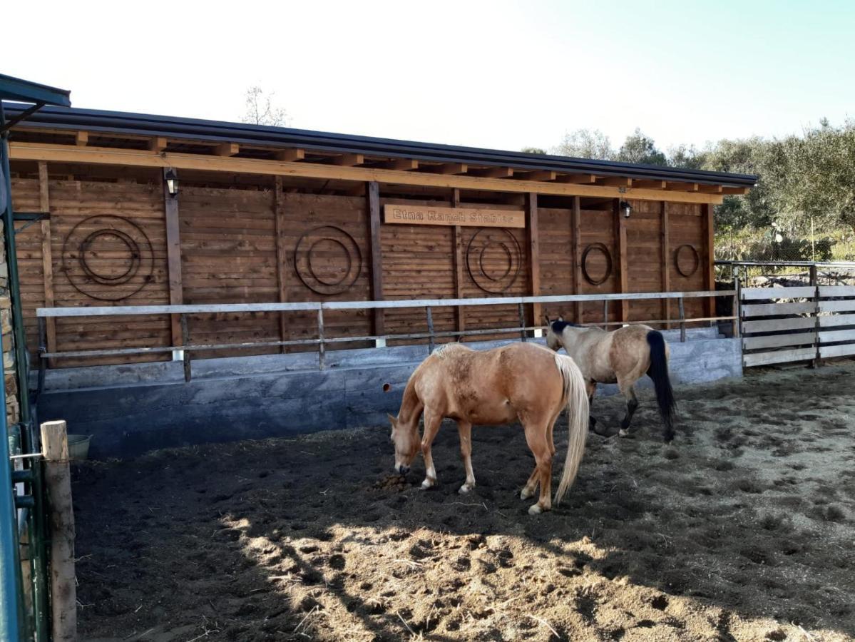 B&B Etna Ranch Piedimonte Etneo Exterior foto