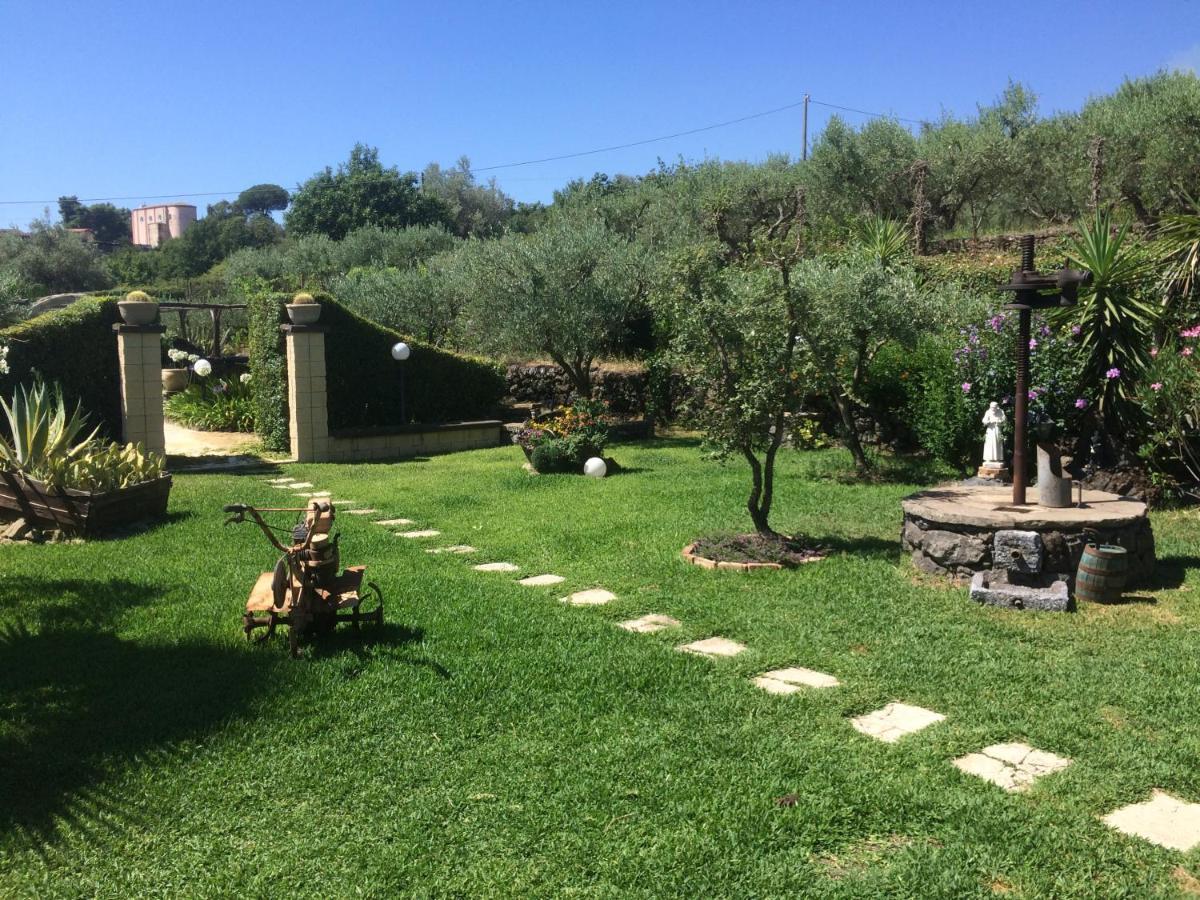 B&B Etna Ranch Piedimonte Etneo Exterior foto