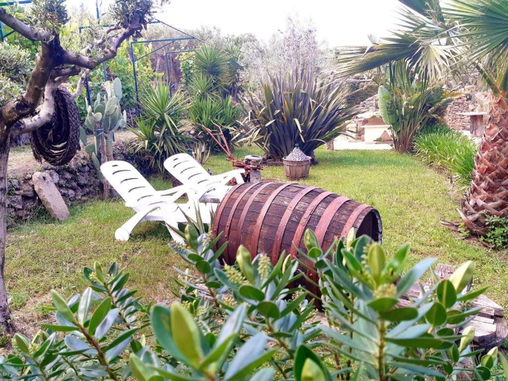 B&B Etna Ranch Piedimonte Etneo Exterior foto