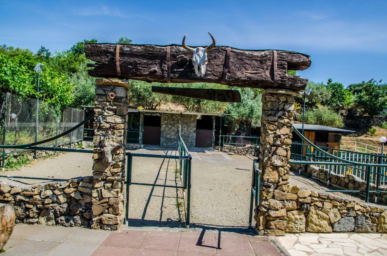 B&B Etna Ranch Piedimonte Etneo Exterior foto