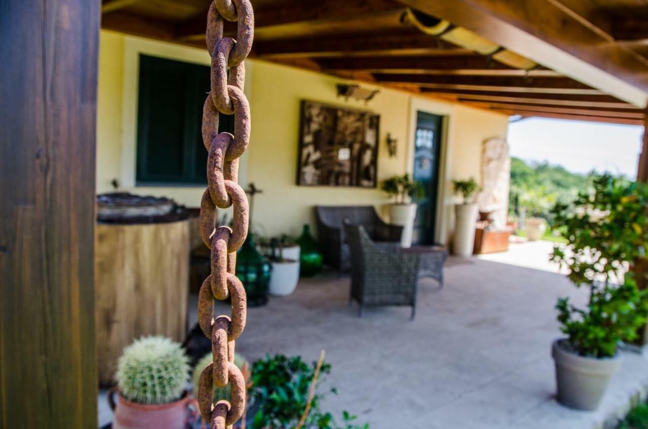 B&B Etna Ranch Piedimonte Etneo Exterior foto